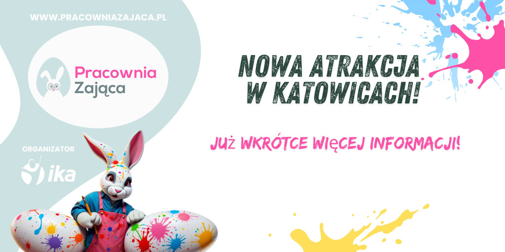 katowice zając